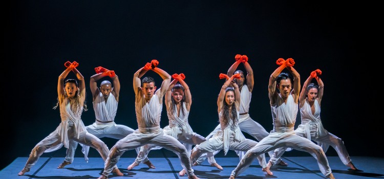 A VISUALLY COMPELLING WORK OF DANCE A VISUALLY COMPELLING WORK OF DANCE