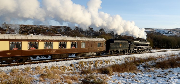 AN ALL WEATHER FESTIVE ATTRACTION AN ALL WEATHER FESTIVE ATTRACTION