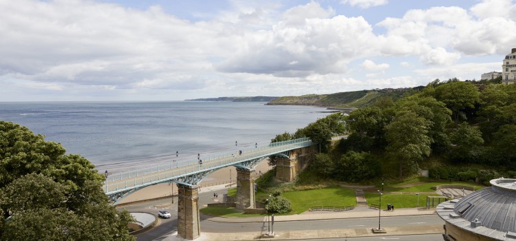 AND FIDO CAME TOO….. AND FIDO CAME TOO…..