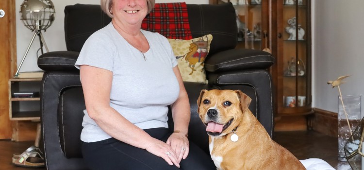 CAN YOU OPEN UP YOUR HOME AND YOUR HEART TO A FOSTER DOG? CAN YOU OPEN UP YOUR HOME AND YOUR HEART TO A FOSTER DOG?