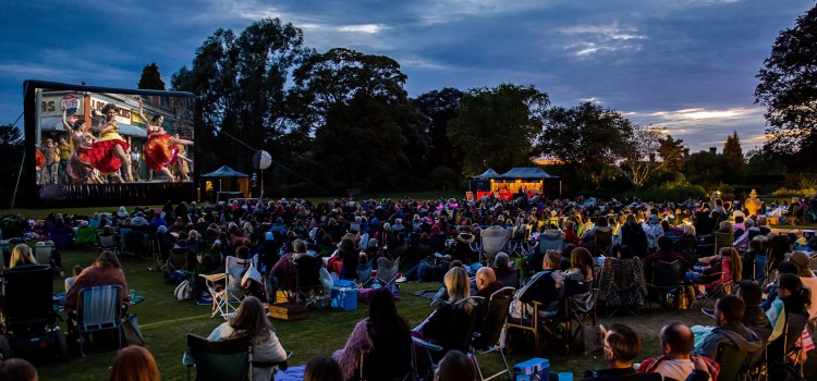 CINEMA UNDER THE STARS CINEMA UNDER THE STARS