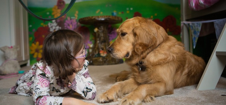 DOGS FOR GOOD IS ENCOURAGING PEOPLE TO GET WALKING AND TALKING DOGS FOR GOOD IS ENCOURAGING PEOPLE TO GET WALKING AND TALKING