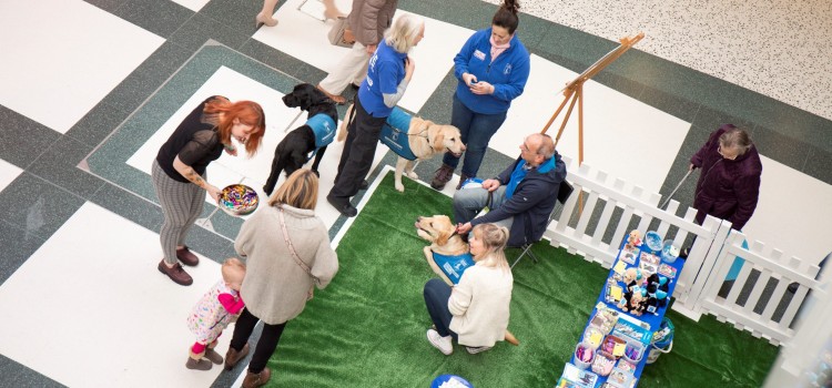 FURRY FRIENDS HELP LIFT YOUR SPIRITS FURRY FRIENDS HELP LIFT YOUR SPIRITS