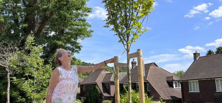 SPONSOR A TREE IN YOUR NEIGHBOURHOOD SPONSOR A TREE IN YOUR NEIGHBOURHOOD