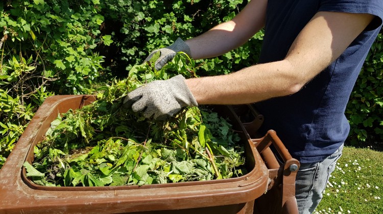 A REMINDER – THE LAST GARDEN WASTE COLLECTION IS VERY SOON