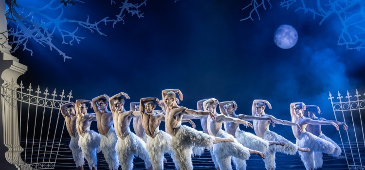 SWAN LAKE TAKES FLIGHT AGAIN…. SWAN LAKE TAKES FLIGHT AGAIN….