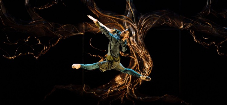 MERLIN – ITS PURE BALLET MAGIC MERLIN – ITS PURE BALLET MAGIC