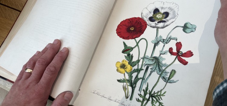 UNEARTHED – THE POWER OF GARDENING UNEARTHED – THE POWER OF GARDENING