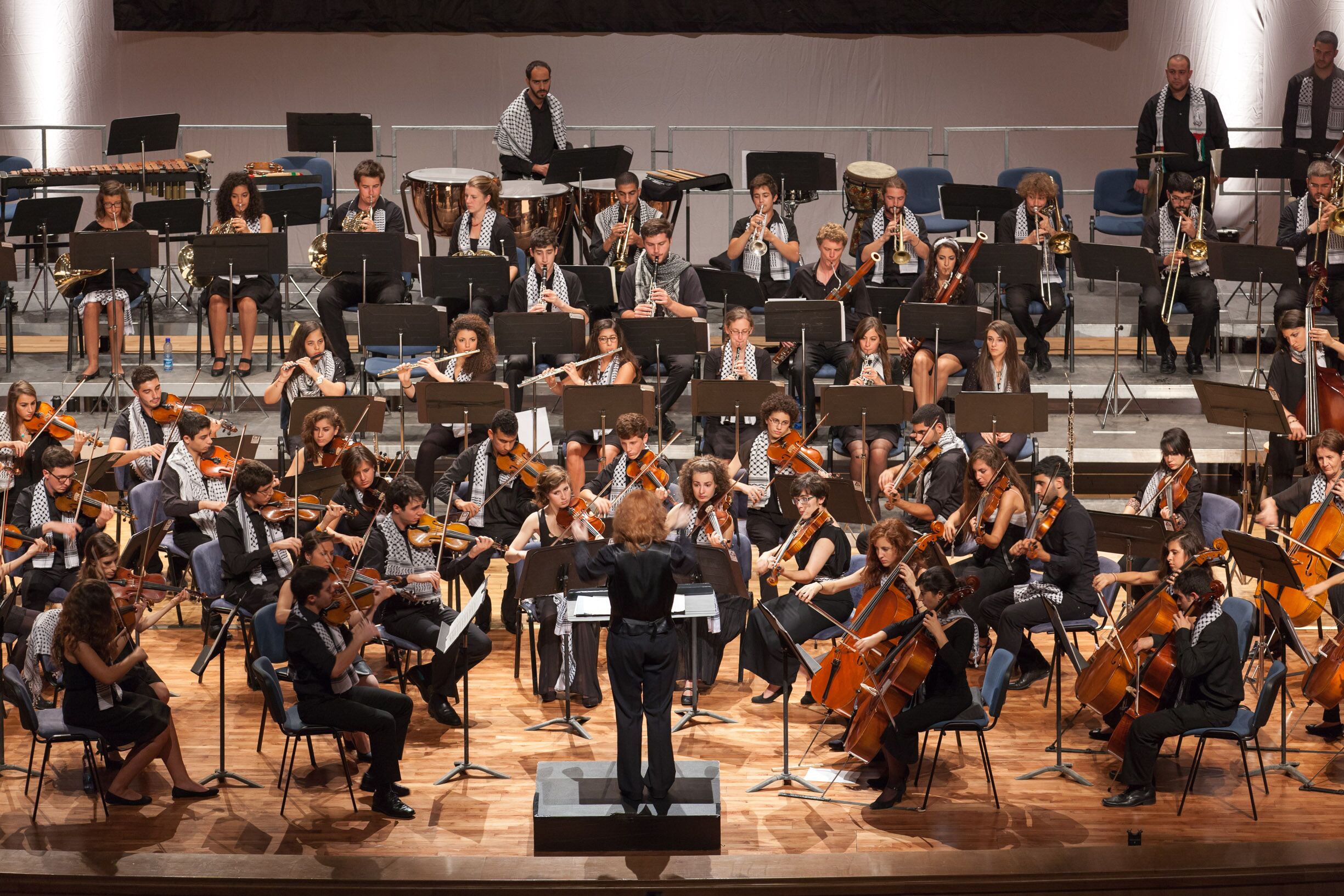 Palestine Youth Orchestra 1
